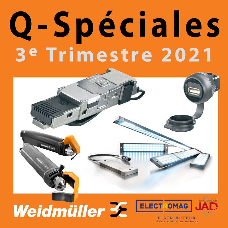 QSpecials_Q3 Wedmuller